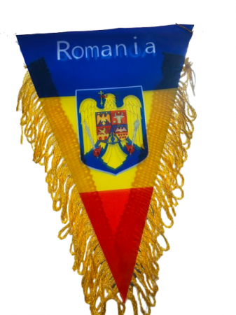 Fanion Romania Vision, tricolor, cu stema [2]