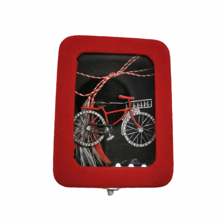 Martisor Brosa Mare, Bicicleta Argintie, in cutie de catifea rosie cu fereastra de sticla, VisionXXI [2]