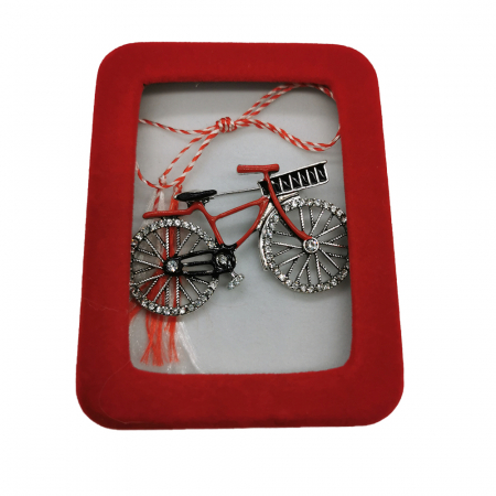 Martisor - Martisor Brosa Mare, Bicicleta Argintie, in cutie de catifea rosie cu fereastra de sticla, VisionXXI
