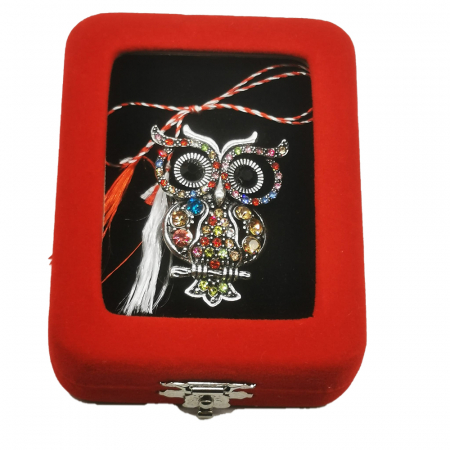 Martisor - Martisor Brosa Mare in cutie de catifea rosie cu fereastra de sticla, Bufnita cu Ochii Mari, Colectia VisionXXI