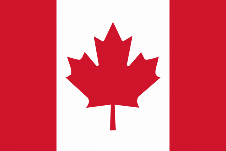 Articole suporteri - Steag Canada, dimensiune 150x90cm, poliester, Vision XXI
