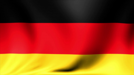 Articole suporteri - Steag Germania Vision, dimensiune 150x90cm