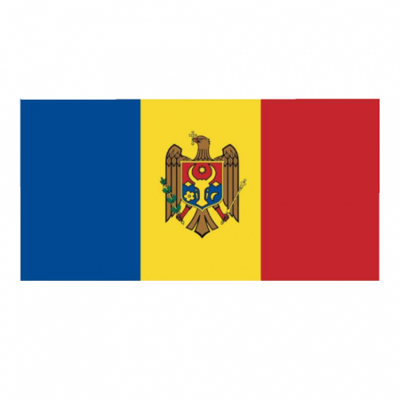 Articole suporteri - Steag Moldova Vision dimensiune 150x90cm