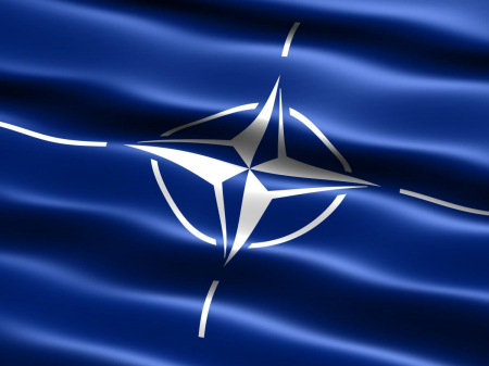 Articole suporteri - Steag NATO Vision poliester, format mare 120x80cm