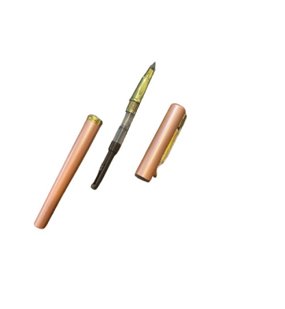 Stilou roz Vision 2841, penita ascunsa, dual, rezervor si patron [2]