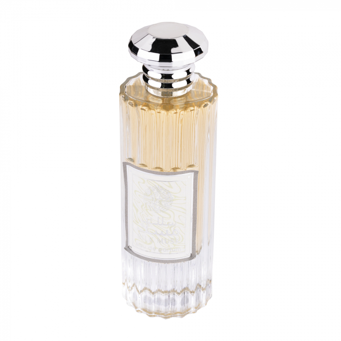 Parfum arabesc Silk Musk, apa de parfum 100 ml, femei [2]