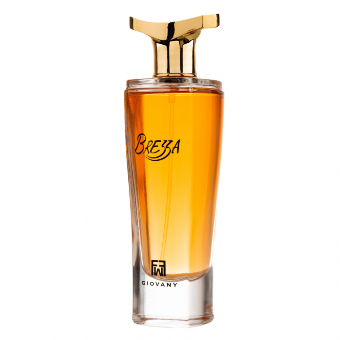 Parfum Brezza, Fragrance World, apa de parfum 100 ml, femei - inspirat din Organza by Givenchy [3]