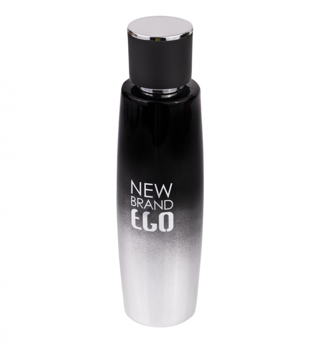 Parfum Ego Silver, apa de toaleta 100 ml, barbati [2]