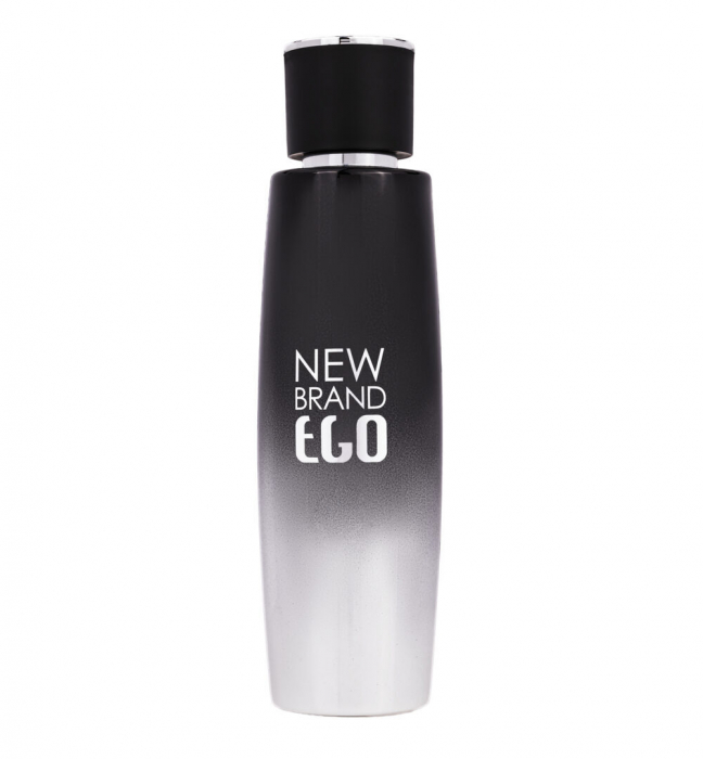 Parfum Ego Silver, apa de toaleta 100 ml, barbati [1]