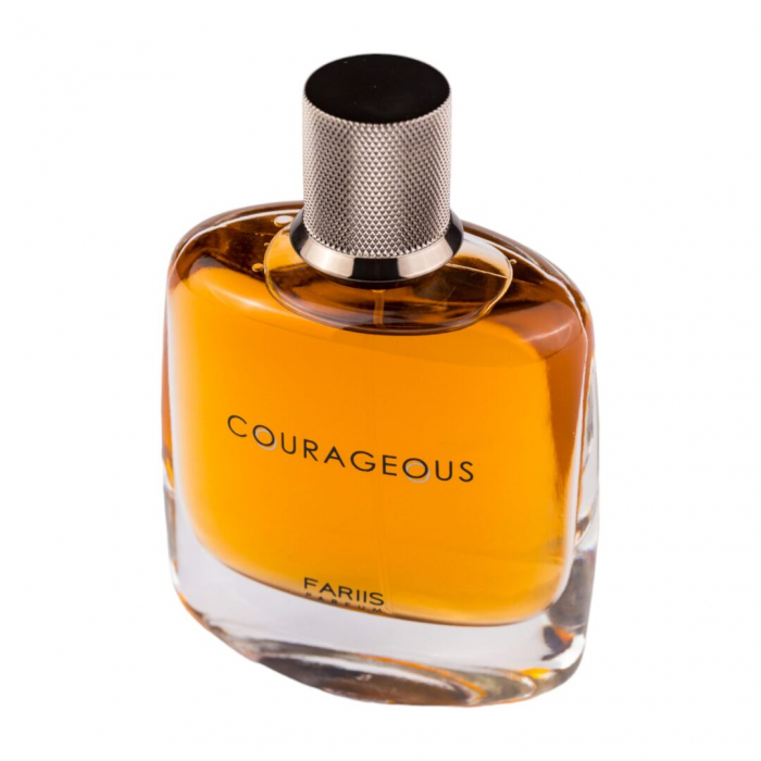 Parfum Courageous, Fariis, apa de parfum 100 ml, barbati - inspirat din Armani Stronger With You [3]