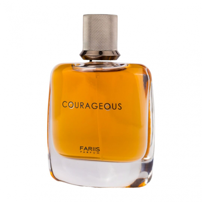 Parfum Courageous, Fariis, apa de parfum 100 ml, barbati - inspirat din Armani Stronger With You [2]