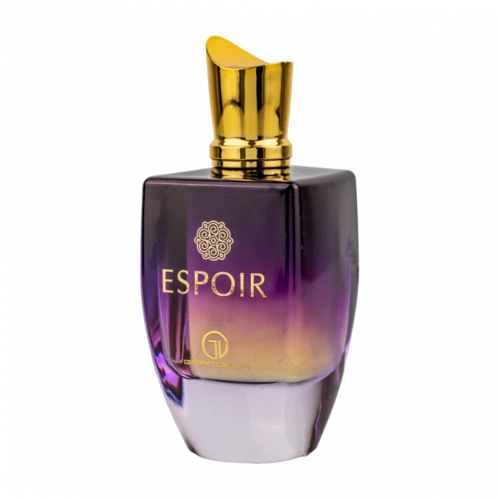 Parfum Espoir by Grandeur Elite, apa de parfum 100 ml, femei [2]