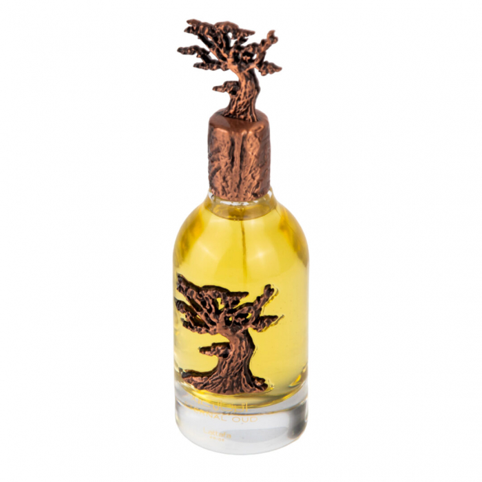 Parfum Eternal Oud, Lattafa, apa de parfum 100 ml, unisex [4]