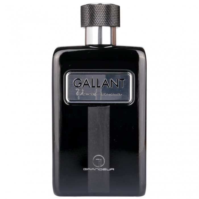 Parfum Gallant, Apa De Parfum 100 Ml, Barbati