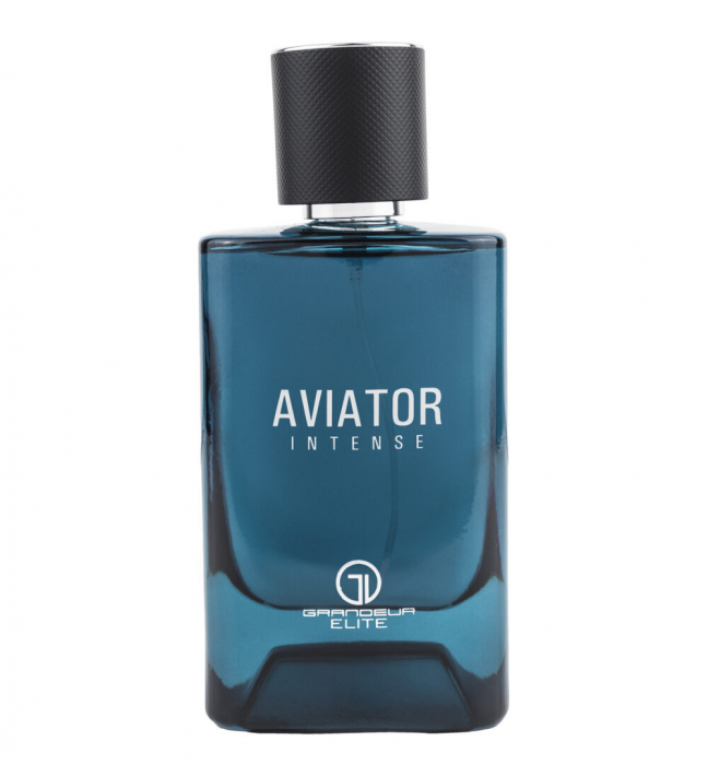 Parfum Grandeur Elite Aviator Intense, apa de parfum 100 ml, barbati [1]