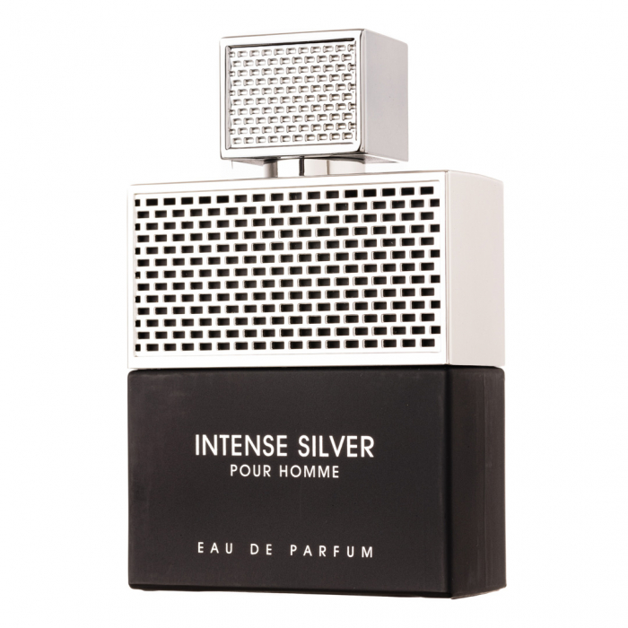 Parfum Intense Silver Pour Homme, Fragrance World, apa de parfum 100 ml, barbati [3]