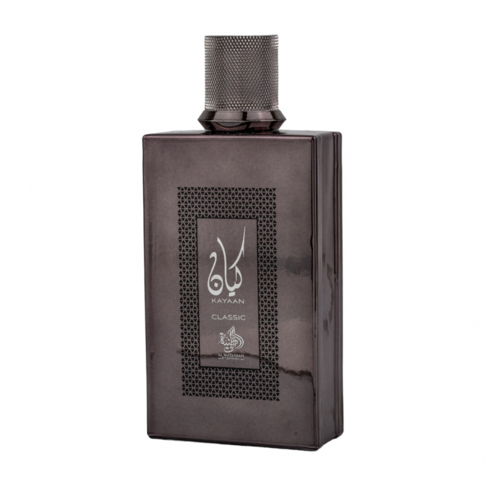 Parfum Kayaan Classic, apa de parfum 100 ml, barbati - inspirat din Dior Homme Intense [2]