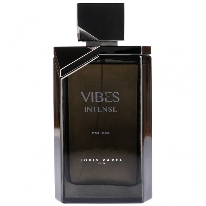 Parfum Louis Varel Vibes Intense, Apa De Parfum 100 Ml, Barbati