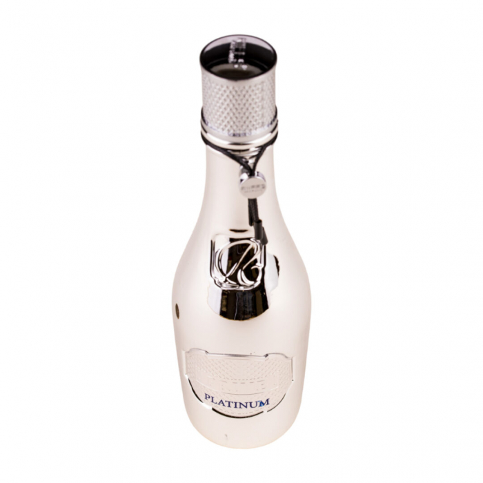 Parfum Prive Platinum, Riiffs, apa de parfum 100ml, barbati - inspirat din Creed Silver Mountain Water [6]