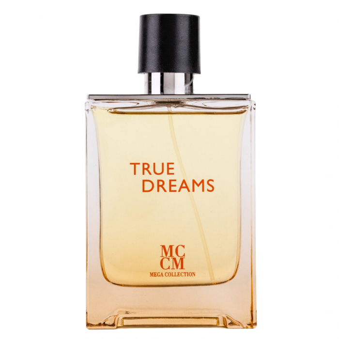 Parfum True Dreams, apa de parfum 100 ml, barbati - inspirat din Hermes Terre