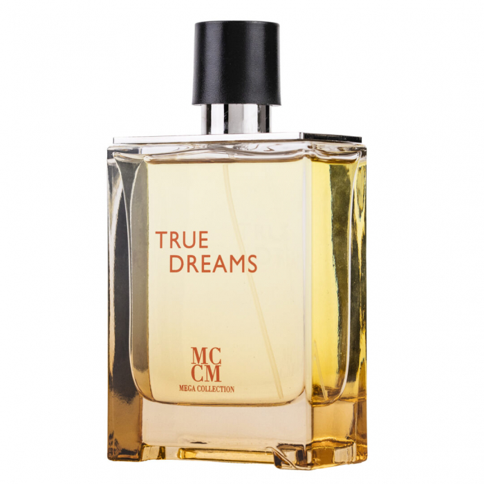 Parfum True Dreams, apa de parfum 100 ml, barbati - inspirat din Hermes Terre [2]