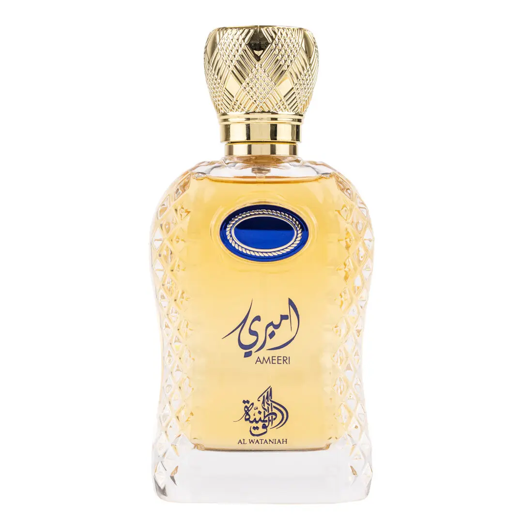 Noutăți - Parfum Ameeri, Al Wataniah, apa de parfum 100 ml, barbati