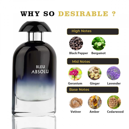 Parfum Bleu Absolu, Riiffs, apa de parfum 100 ml, barbati - inspirat din Dior Sauvage [1]