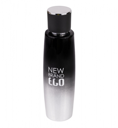 Parfum Ego Silver, apa de toaleta 100 ml, barbati [1]
