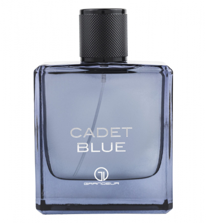 Parfumuri de primăvară - Parfum Grandeur Elite Cadet Blue, apa de parfum 100 ml, barbati