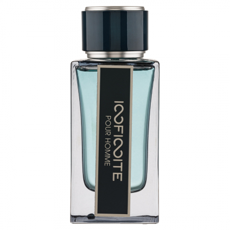 Noutăți - Parfum Infinite Pour Homme, Fragrance World, apa de parfum 100 ml, barbati - inspirat din Intense Leather by Ferragamo