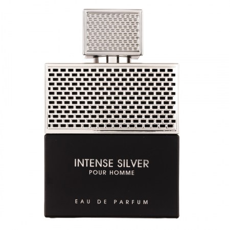 Parfumuri bărbați - Parfum Intense Silver Pour Homme, Fragrance World, apa de parfum 100 ml, barbati