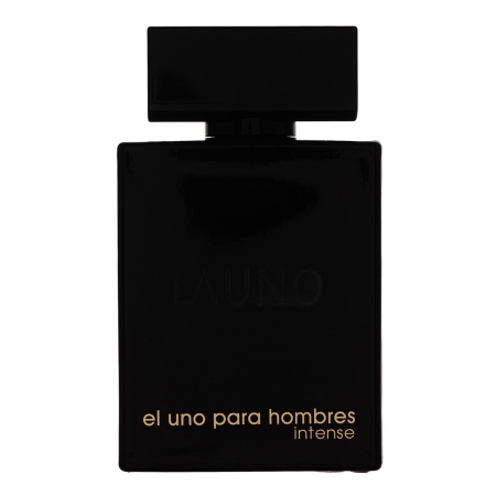 Parfumuri de vară - Parfum El Uno Para Hombres Intense, Fragrance World, apa de parfum 100 ml, barbati - inspirat din The One Intense by D&G