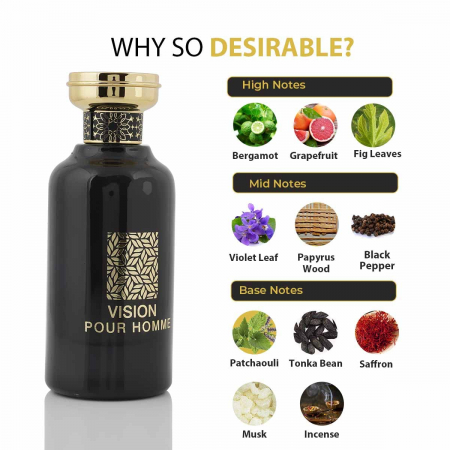 Parfum Vision Pour Homme, Riiffs, apa de parfum 100 ml, barbati [1]