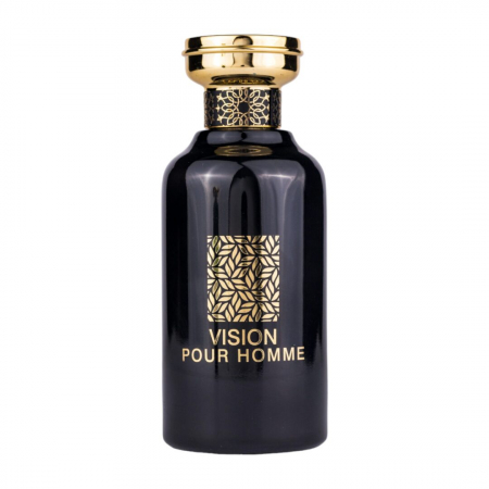 Parfumuri bărbați - Parfum Vision Pour Homme, Riiffs, apa de parfum 100 ml, barbati