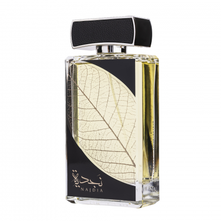 Parfum pentru barbati Najdia, apa de parfum - inspirat din Invictus Acqua by Paco Rabanne [2]