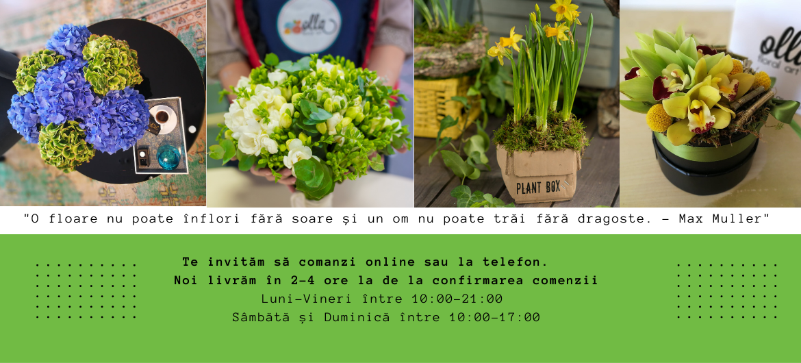 Comandă florile ei preferate