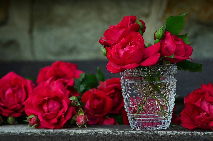 trandafiri in vaza