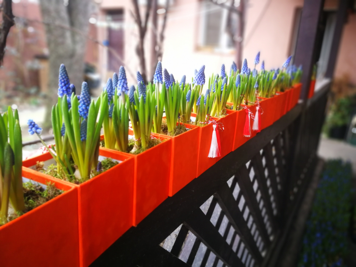aranjament-floral-de-primavara-olla-cu-plante-in-vas-personalizat-bulbi [5]