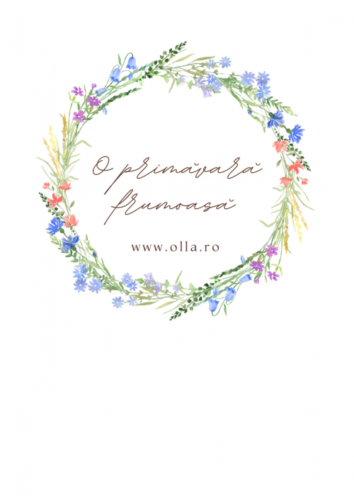 Aranjament floral Olla cadou de primavara cu bulb de zambila in vas ceramic [5]