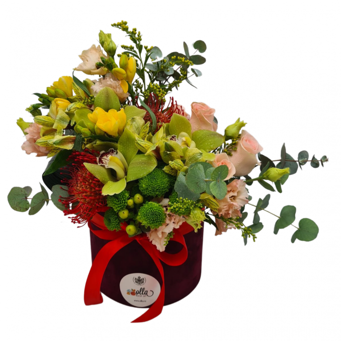 aranjament-floral-olla-in-cutie-de-catifea-cu-orhidee-cymbidium [2]