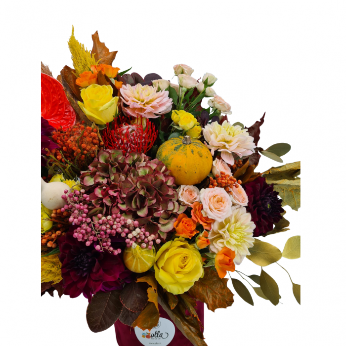 Aranjament floral Olla in cutie cu hortensia si flori de toamna [4]