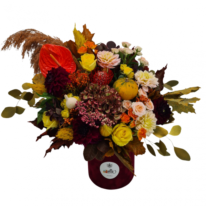 Aranjament floral Olla in cutie cu hortensia si flori de toamna [2]
