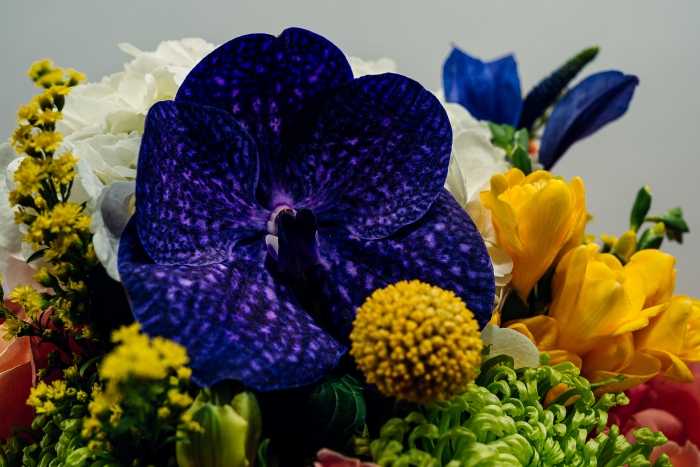 Aroma de Toamna, buchet de hortensia, clematis si orhidee vanda [3]