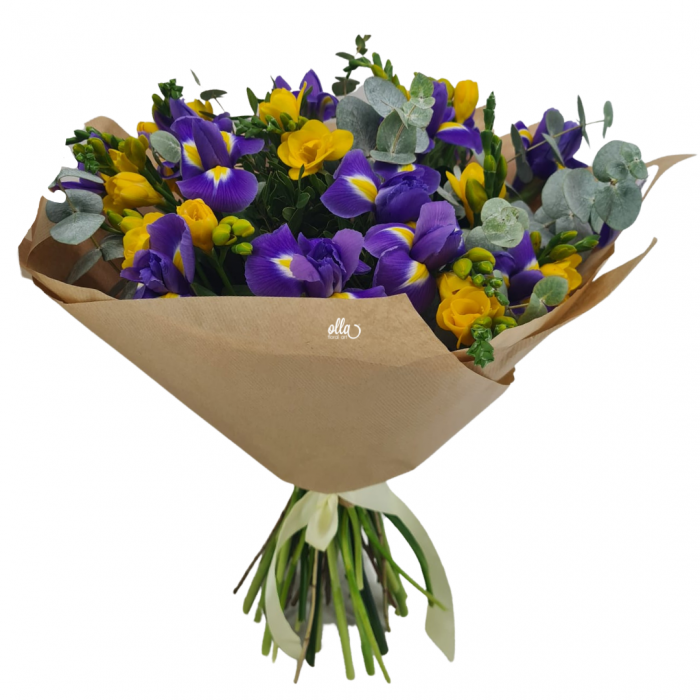 Buchet de flori de primavara Olla din Iris mov si Frezia galbena [3]