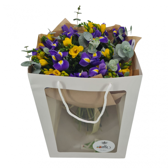 Buchet de flori de primavara Olla din Iris mov si Frezia galbena [4]