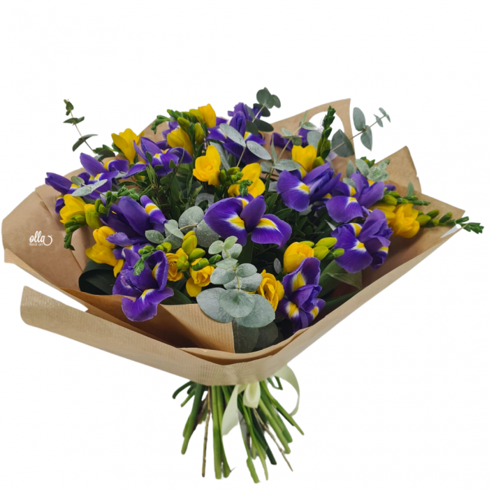 Buchet de flori de primavara Olla din Iris mov si Frezia galbena [2]