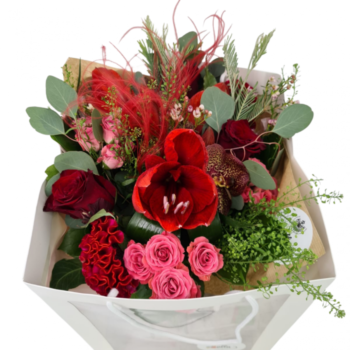 Buchet de flori Olla din Amaryllis rosu si Orhidee vanda [3]