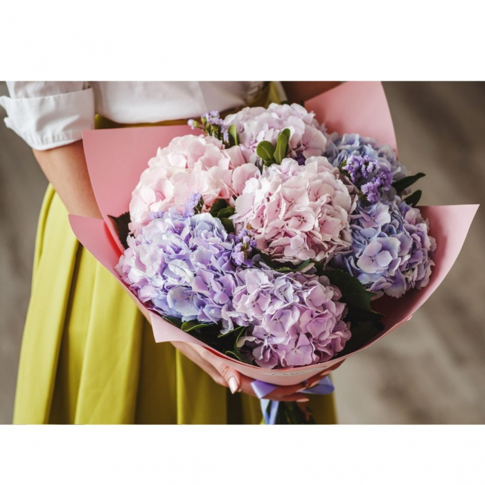 clipe-pastelate-buchet-hortensii-in-culori-pastelate [2]