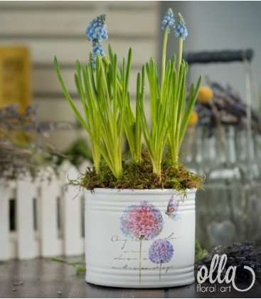 Inceput de primavara, aranjament floral Olla pe suport de vas ceramic [2]