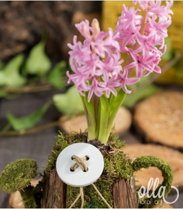 Aranjament floral de primavara Olla cu bulbi de Zambile in stropitoare [2]